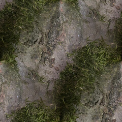 nahtlose Textur, Moos und Stein