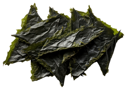 PNG Crispy nori seaweed flakes plant leaf vegetable.