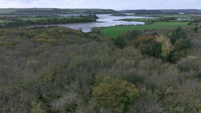 Drone footage of the forest in Autumn (Fall), Cork, Ireland