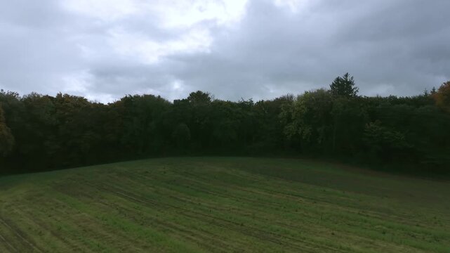 Drone footage of the forest in Autumn (Fall), Cork, Ireland