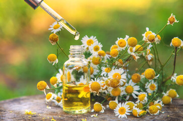 Chamomile essential oil in the garden. Selective focus.