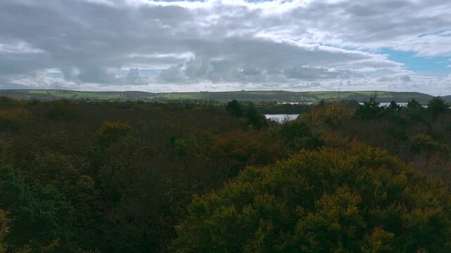 Drone footage of the forest in Autumn (Fall), Cork, Ireland