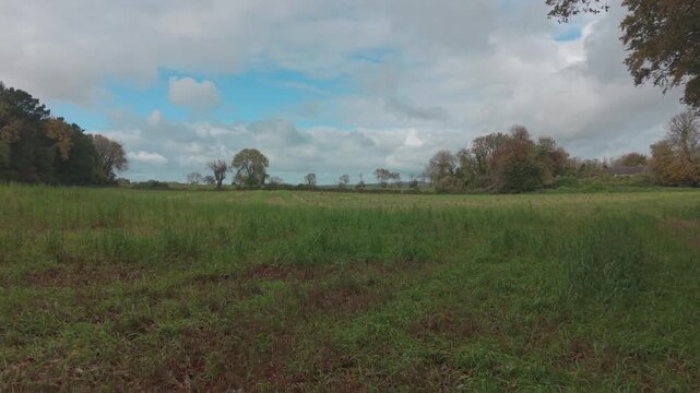 Drone footage of the forest in Autumn (Fall), Cork, Ireland