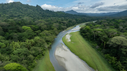 Lush, green rainforest landscape with a winding river cutting through vibrant vegetation.