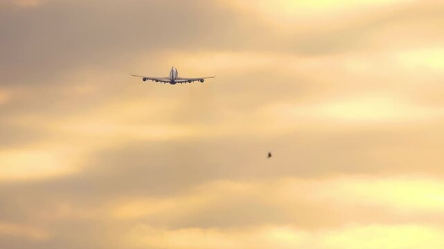 Wide-body four-engine aircraft ascending into the colorful sky during sunrise or sunset. Symbol of air travel and long-haul aviation.