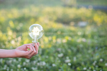 Innovative light bulb shines bright amidst nature