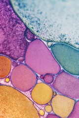 Macro pattern of overlapping rounded membranes forming translucent organic clusters.