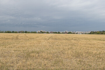 Obraz premium Wide agricultural field with dry harvested wheat and distant city skyline under dramatic cloudy sky before the storm
