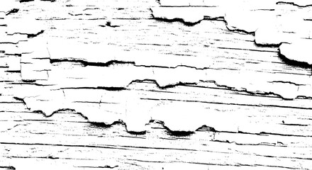Close up of a wooden surface with peeling white paint creating a textured and weathered appearance isolated on transparent background