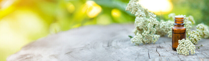 Yarrow extract in a bottle. Selective focus. © yanadjan