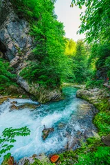 Canvas schilderij Groen Wooden walkway through the Vintgar gorge near Bled lake in Slovenia,  breathtaking views of the Radovna river  © Zedspider