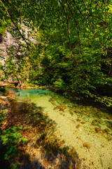 Obraz premium Wooden walkway through the Vintgar gorge near Bled lake in Slovenia, breathtaking views of the Radovna river