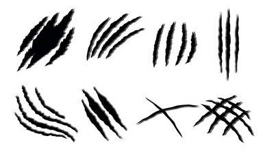 Claws scratches isolated on white. Vector illustration.
