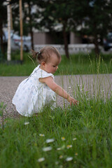 a young child in a white dress crouches in a lush green garden, attentively exploring the tall grass and wildflowers, surrounded by serene nature with a focused curiosity, moment, quiet, explorer