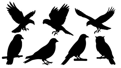 Fototapeta premium Black Bird Silhouette Vector Icons Set – Eagle, Parrot, Sparrow, Pigeon, Crow, Owl in Flight and Perch Poses, Minimal Wildlife Design