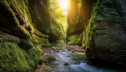 narrow canyon with vibrant moss covered walls and crystal clear stream morning light