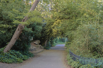 Battersea Park (power station) London, England - Peaceful view of trees on a cloudy day. 