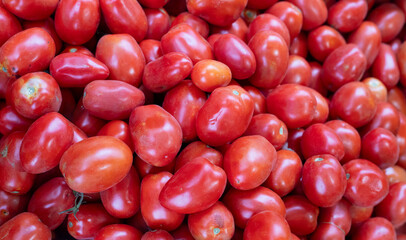 Freshly picked red ripe tomatoes. Close-up. Tomato background or texture. Lots of red tomatoes. Tomato harvesting.