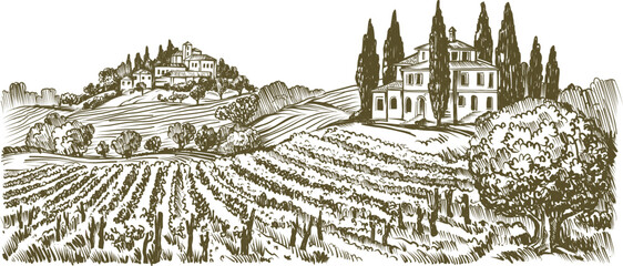 Vintage Illustration of a Tuscan Countryside Landscape with Vineyard Fields and Villas on Rolling Hills