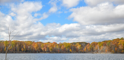 Colorful autumn trees 