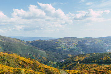 Naklejka premium landscape of the mountains