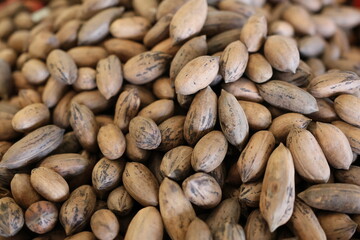 Close-Up of Fresh Pecan Nuts in Shell – Healthy Snack and Gourmet Ingredient for Cooking and Baking