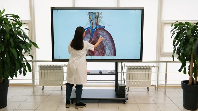 Young female doctor or medical student explaining the human respiratory system, pointing to an anatomical model of the lungs and heart on a large interactive digital screen during a presentation