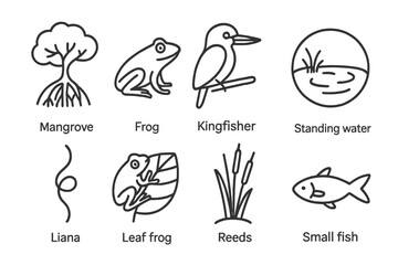 Obraz premium Tropical Wetland Icons. Line style icons of Tropical Wetland: Mangrove, Frog, Kingfisher, Standing Water, Liana, Leaf Frog, Reeds,