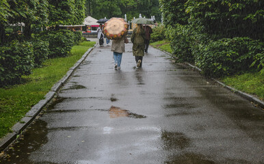People with umbrellas in the rain in a city park