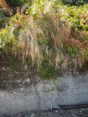 Makrirrachi Village at Pelion Mountain, Thessaly, Greece