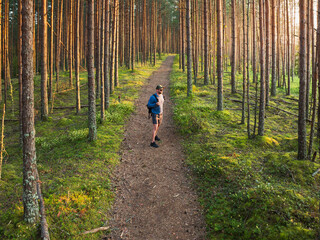 Obraz premium Aerial view of a man hiking on a trail through a mossy pine forest at golden hour in Estonia.