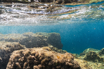 Underwater sea view of algae-covered rocks and sunlit water surface on the beautiful coast of France.