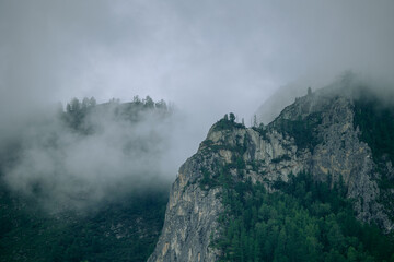 Fototapeta premium Mystical foggy landscape of Altai mountains