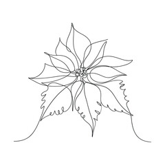 Minimalist Single Line Art of a Poinsettia Flower Illustration