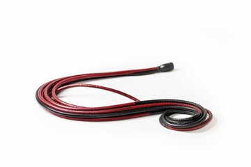 Elegant Riding Crop: An elegant riding crop, a symbol of equestrian skill, rests against a plain background. Its design features a sleek handle and a slender, flexible lash.