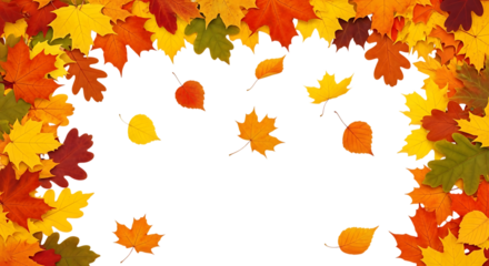 Vibrant autumn leaves frame falling seasonal colors nature decorative border