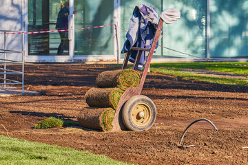 tacks of rolled sod on dolly over prepared soil at park site, warm light, tools and irrigation tube. Scene of lawn installation in progress