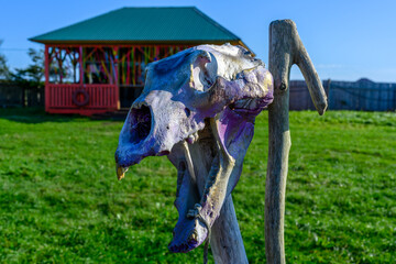 Fototapete bei efototapeten.de bestellen   