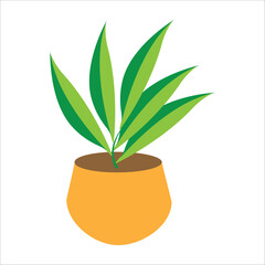 green plant in a pot