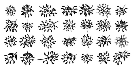 Mistletoe icon set Collection of Christmas holiday plant silhouettes with berries for winter decoration Vector illustration