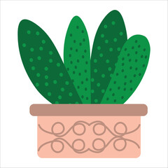 cactus in flowerpot