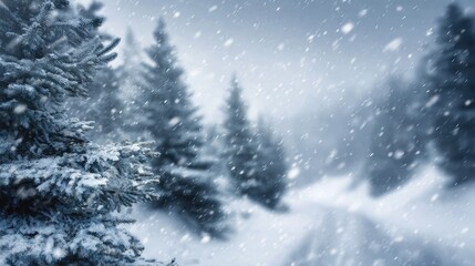 Obraz premium Serene Winter Wonderland: Snowy Path Through Pine Forest in a Gentle Snowfall