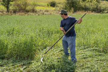 Romanian farmer manually harvesting crops using a traditional scythe in a rural village field