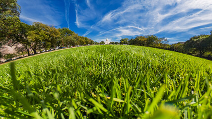 Symmetrical low-angle shot of lush lawn leading to the Capitol dome in the background