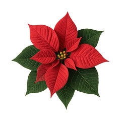 PNG Vibrant poinsettia flower design