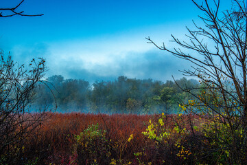 Autumn Landscapes trees and sky