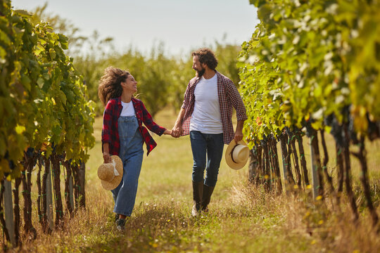 A couple walks hand in hand through rows of grapevines in a vineyard, smiling as they embrace the warmth of a sunny day while managing their family wine production business.