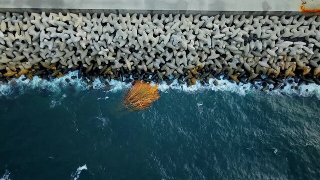 Rompe olas en el mar, agua azul junto a piedras de concreto, ramas de una planta sobre la roilla del mar