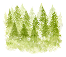 Bright green gradient watercolor illustration of textured coniferous fir forest. Misty evergreen watercolour pine trees print for winter Christmas design, poster, decor element, sticker