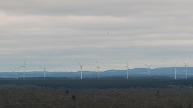 Video showcases a serene landscape with wind farms and birds